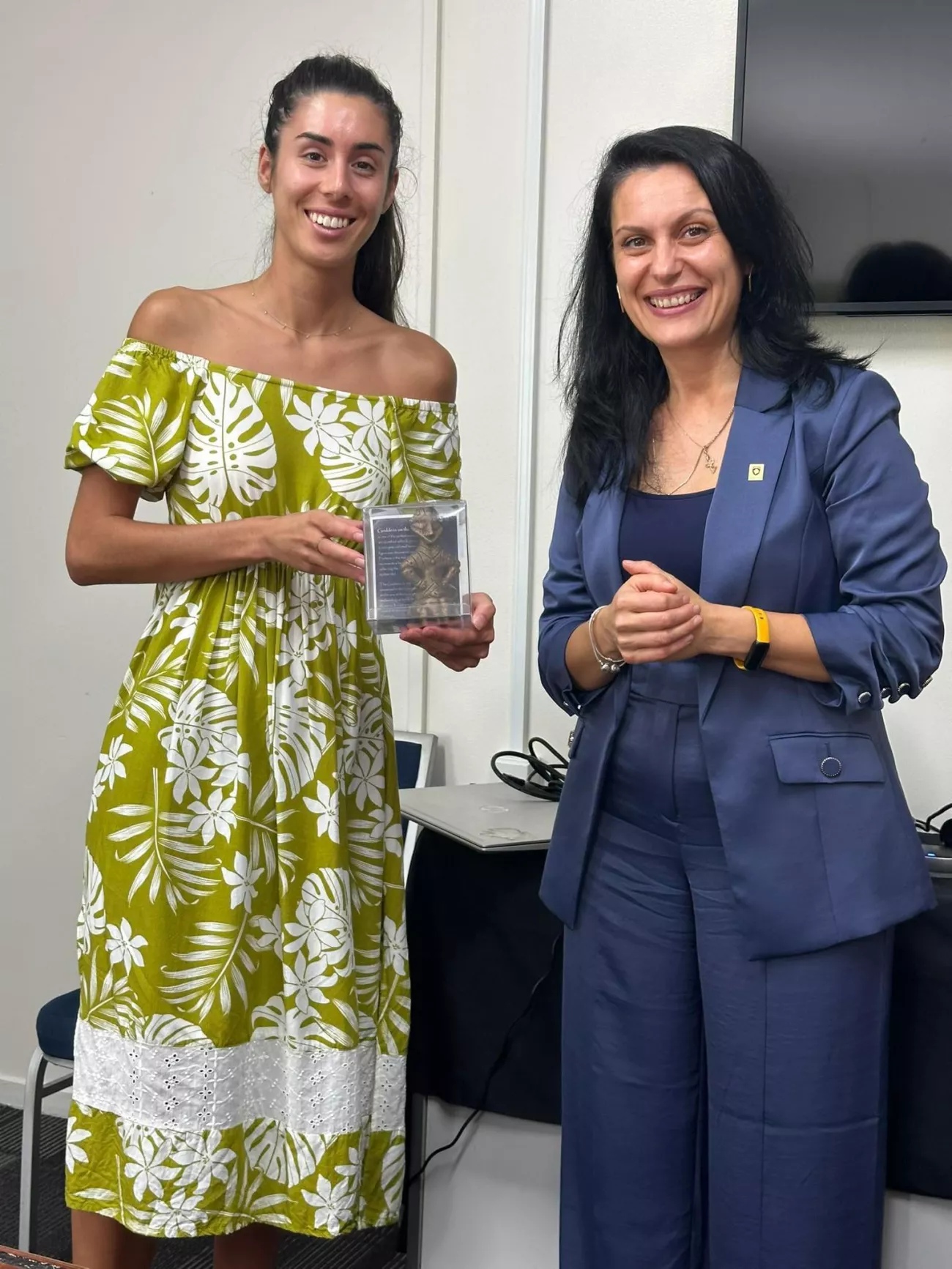 Kosovo and the Cook Islands discuss small states statecraft and diplomacy